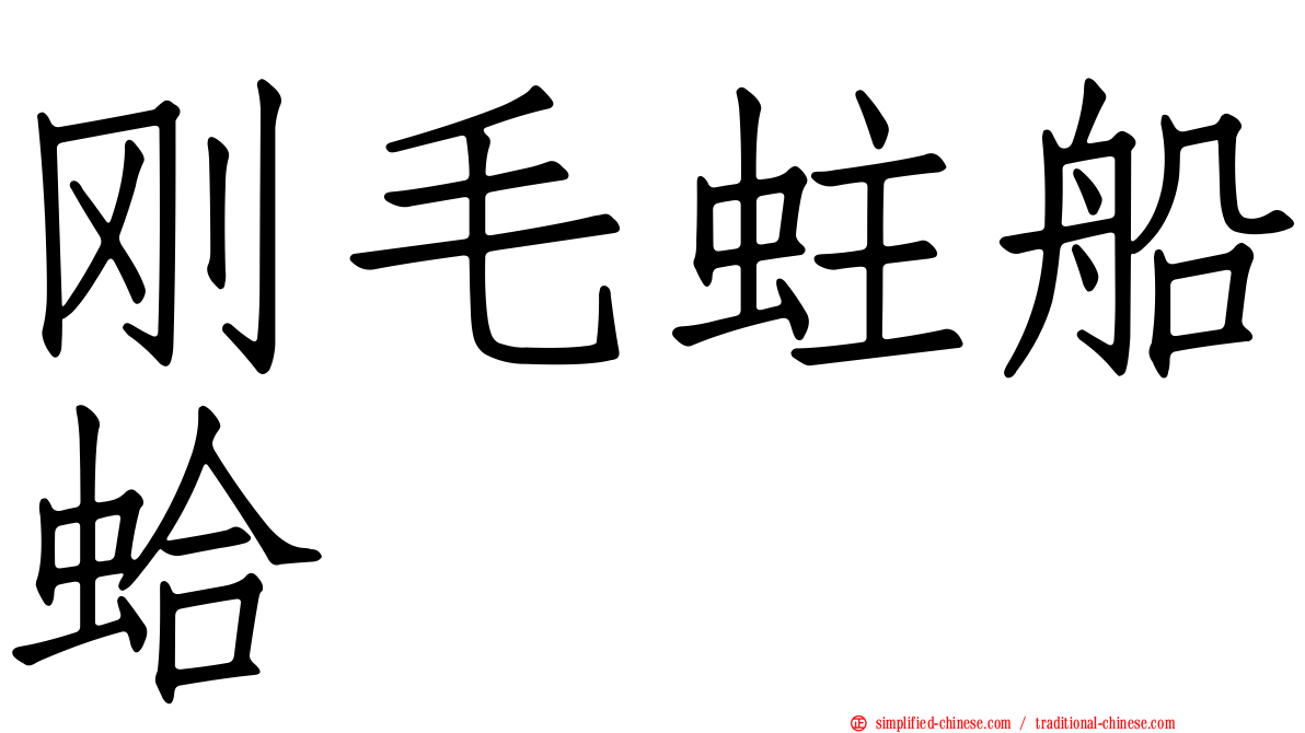 刚毛蛀船蛤
