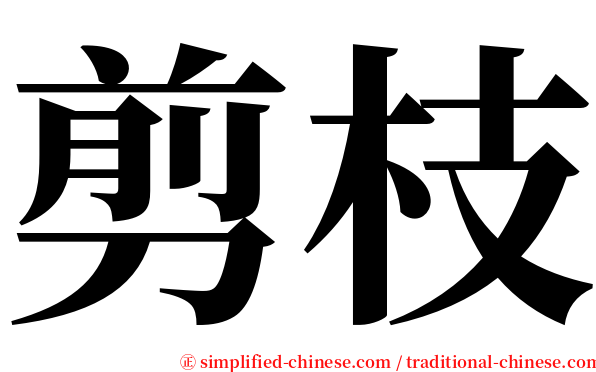 剪枝 serif font