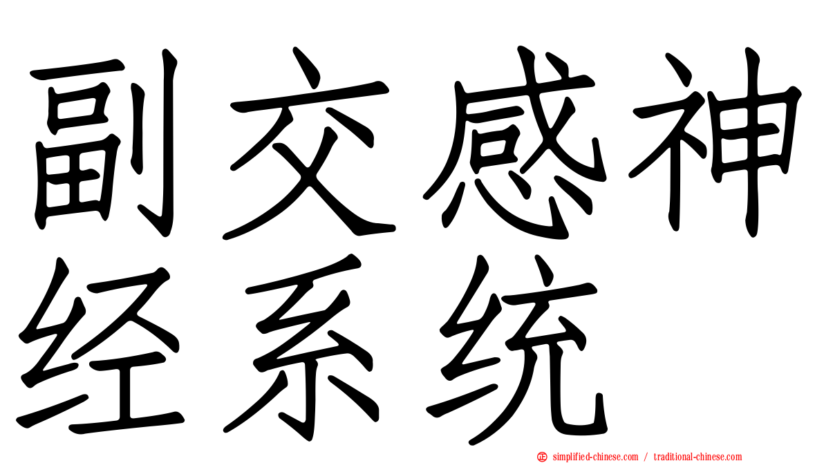 副交感神经系统