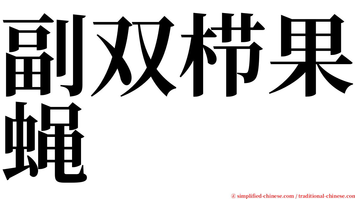 副双栉果蝇 serif font