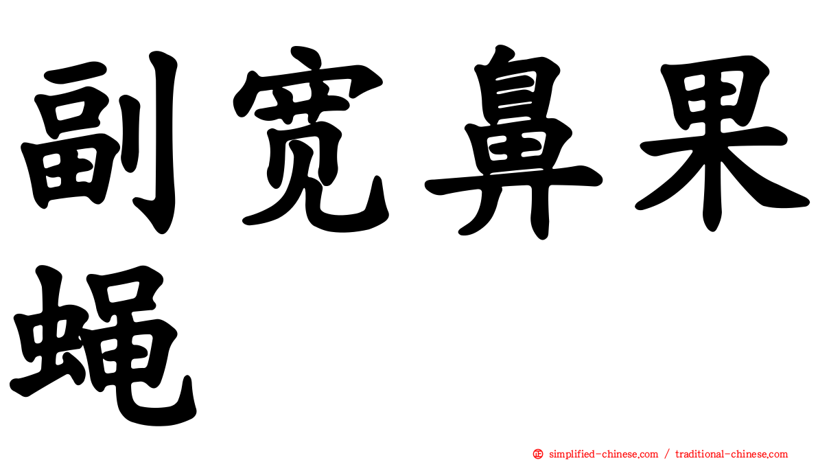 副宽鼻果蝇