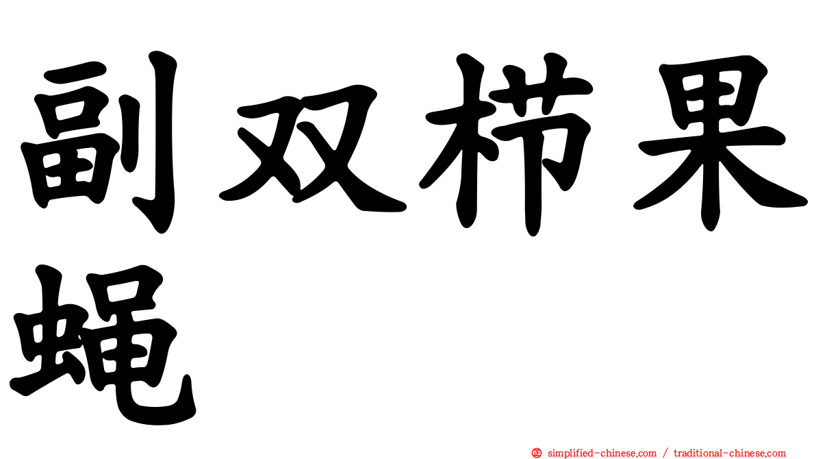 副双栉果蝇