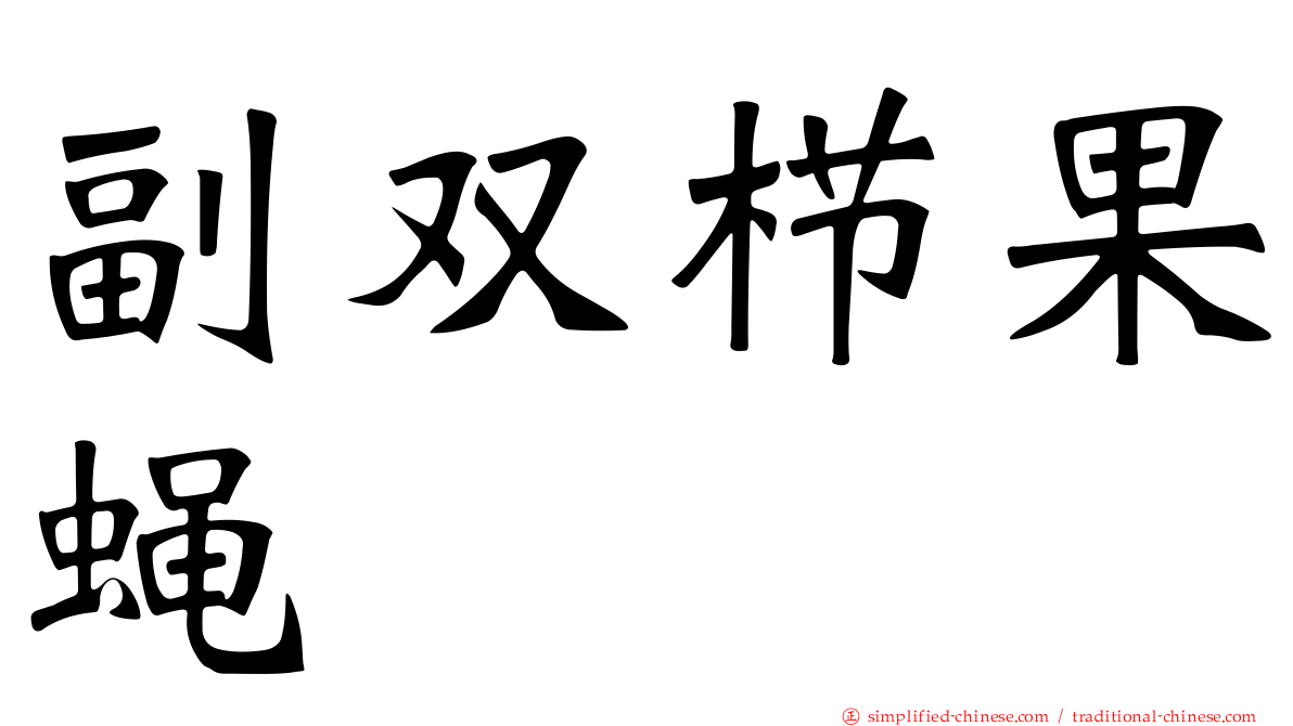 副双栉果蝇
