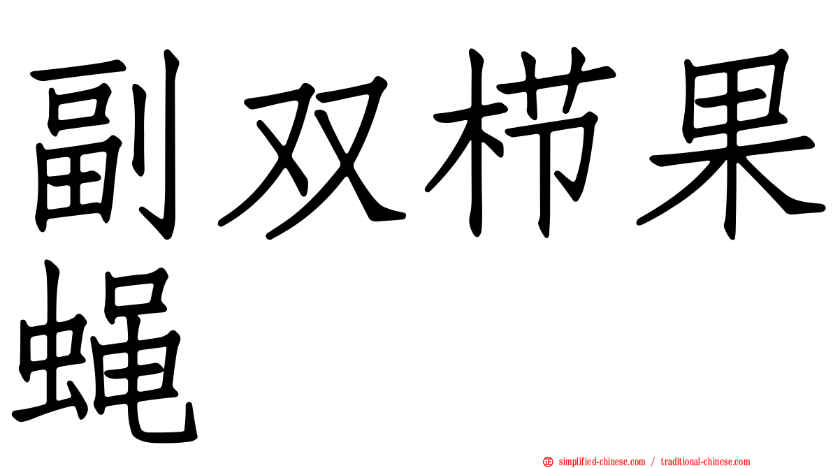 副双栉果蝇