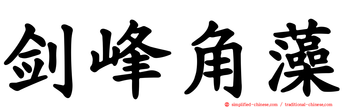剑峰角藻