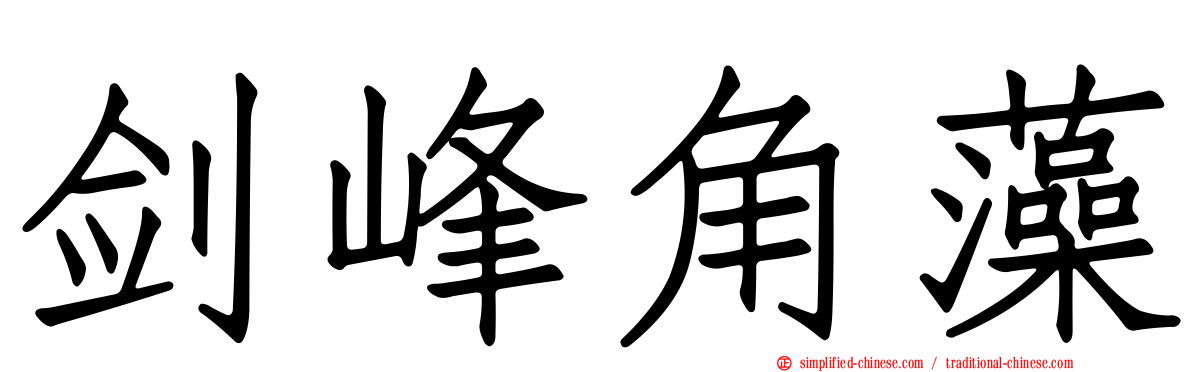 剑峰角藻