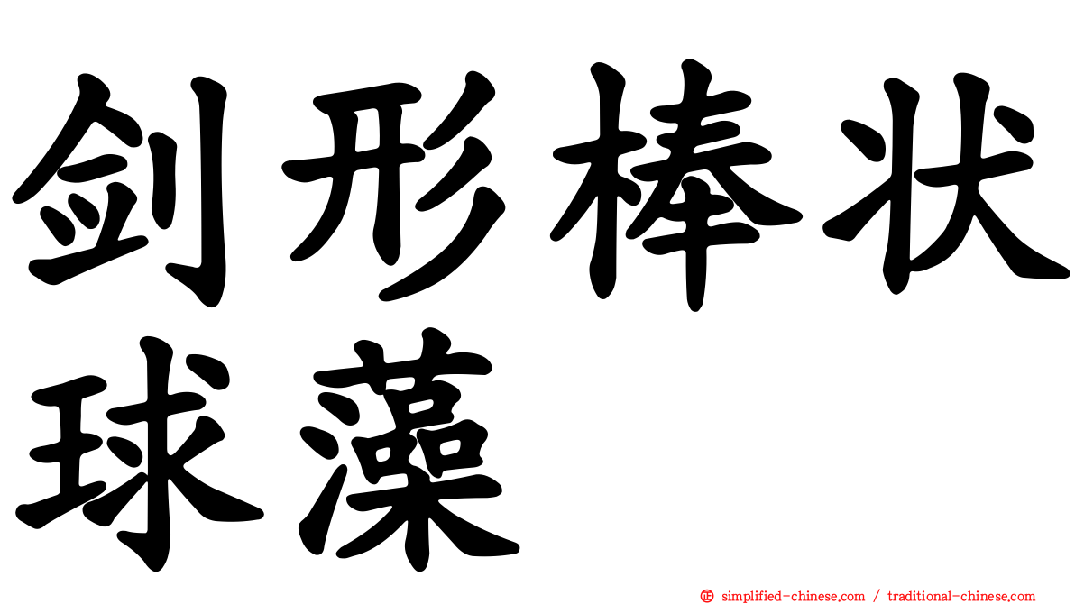 剑形棒状球藻