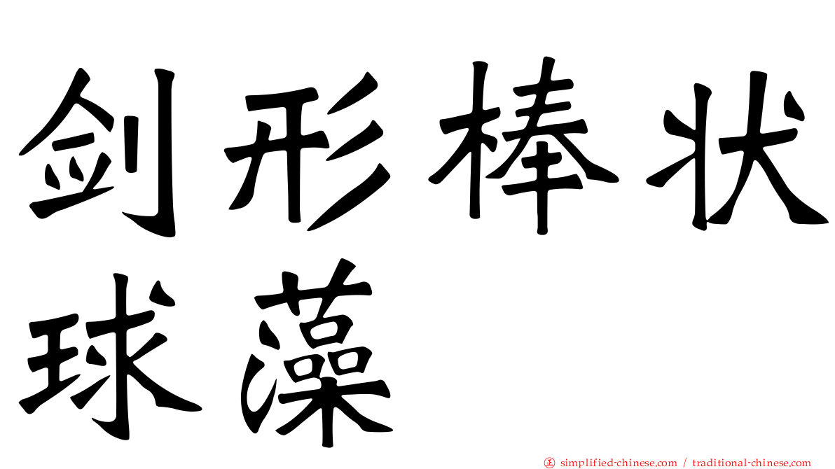 剑形棒状球藻