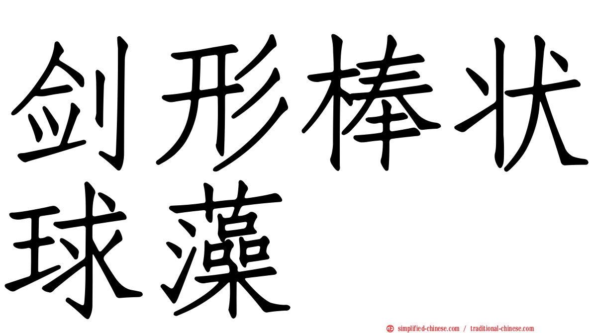 剑形棒状球藻