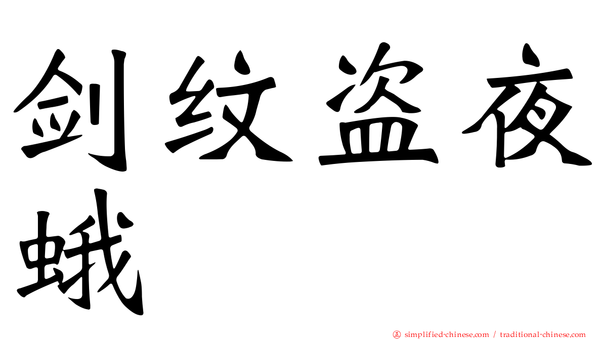 剑纹盗夜蛾