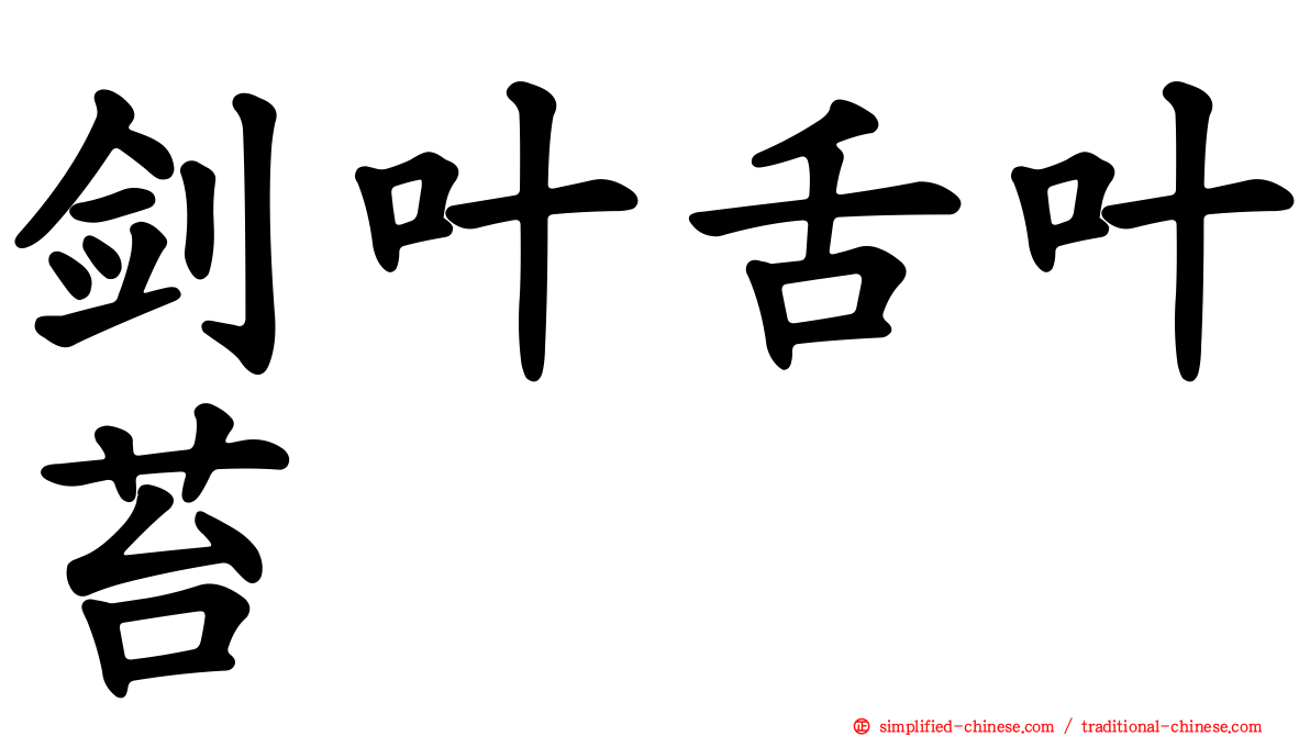 剑叶舌叶苔
