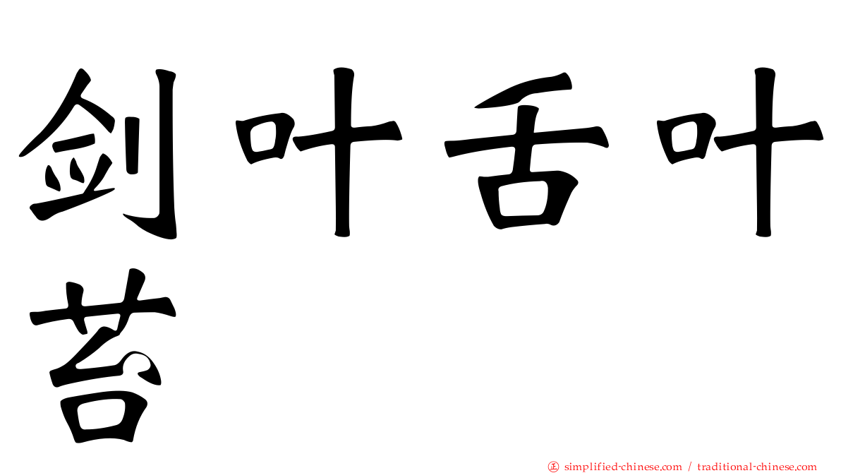 剑叶舌叶苔