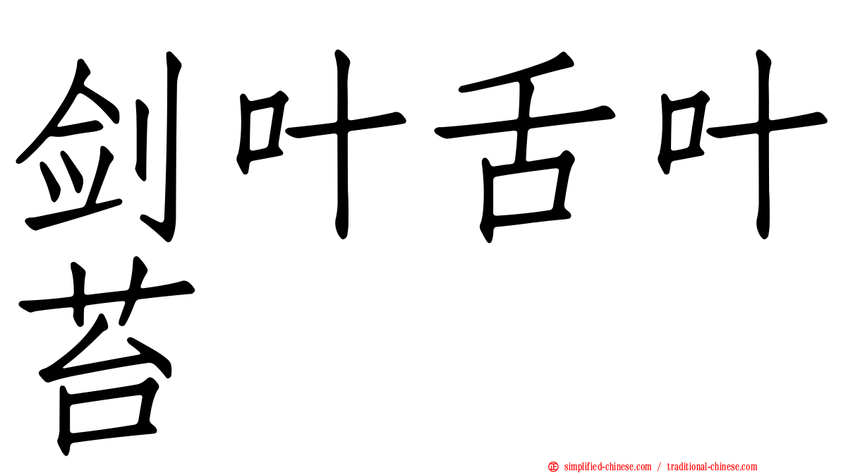 剑叶舌叶苔
