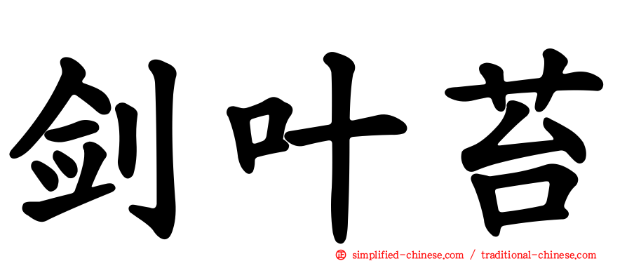 剑叶苔
