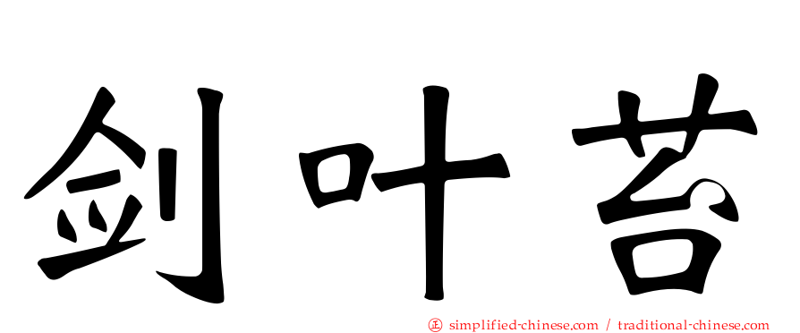 剑叶苔
