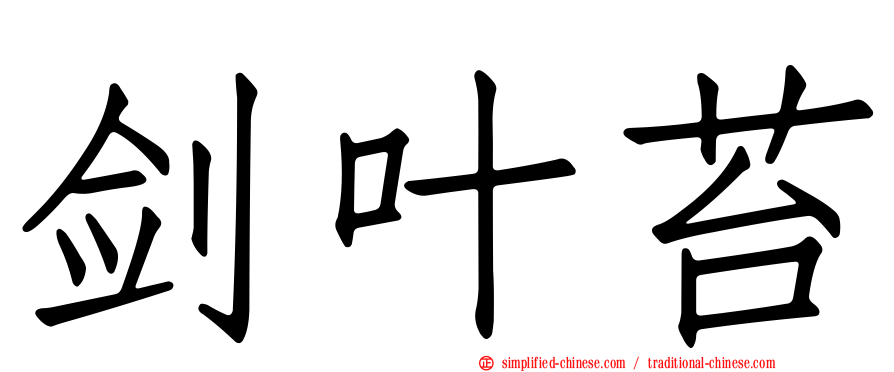 剑叶苔