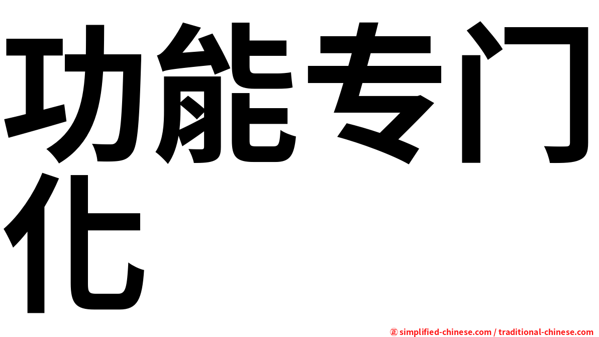 功能专门化