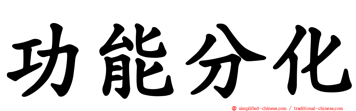 功能分化