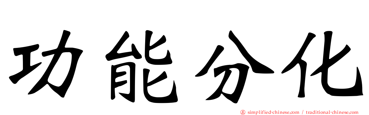 功能分化