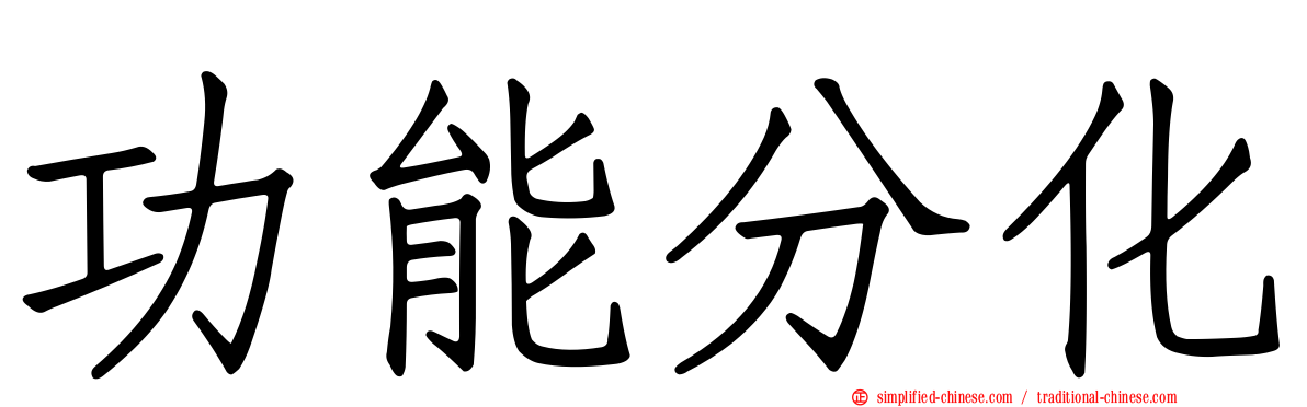 功能分化