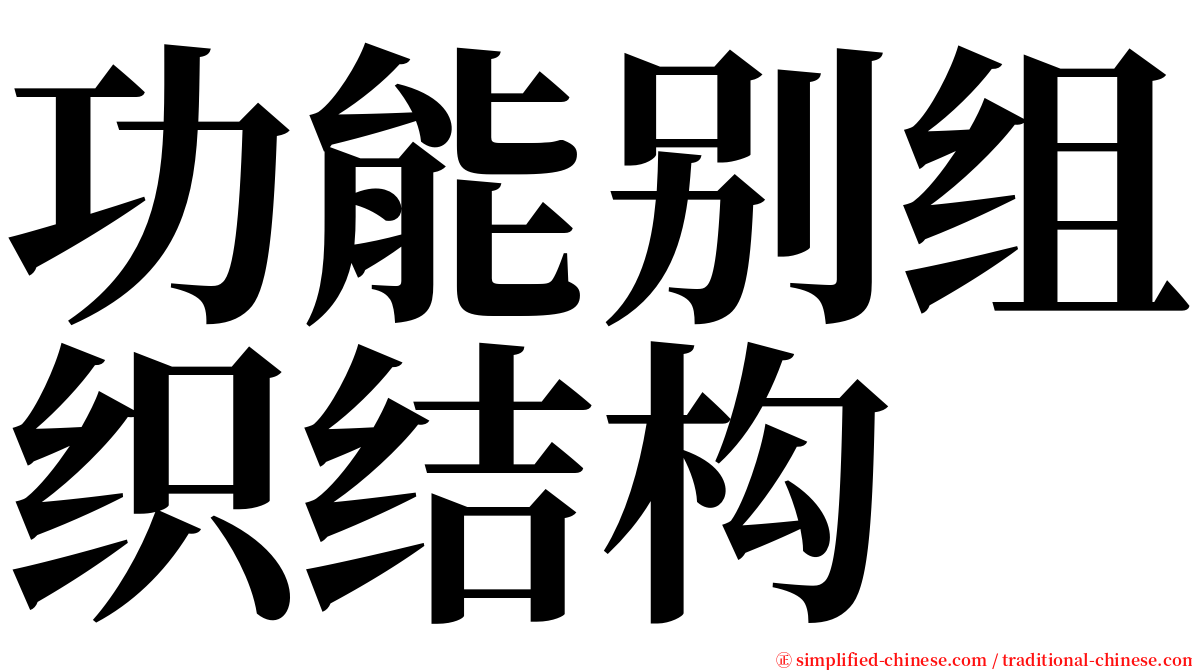 功能别组织结构 serif font