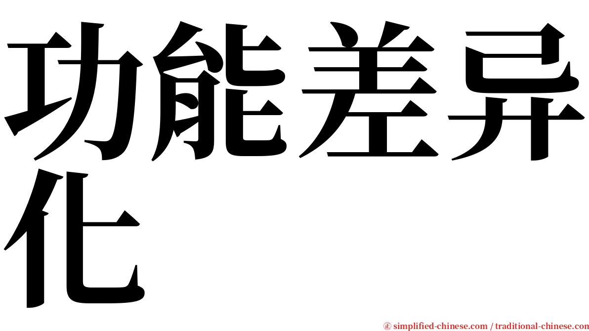 功能差异化 serif font