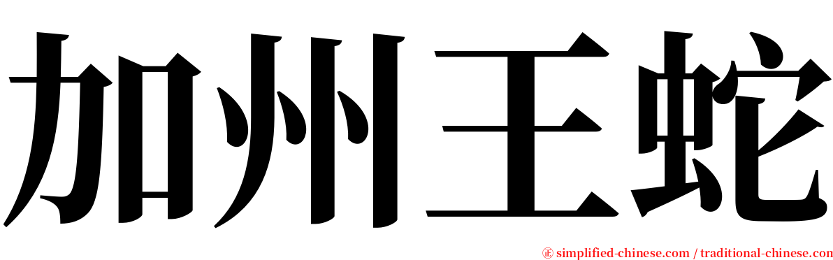 加州王蛇 serif font