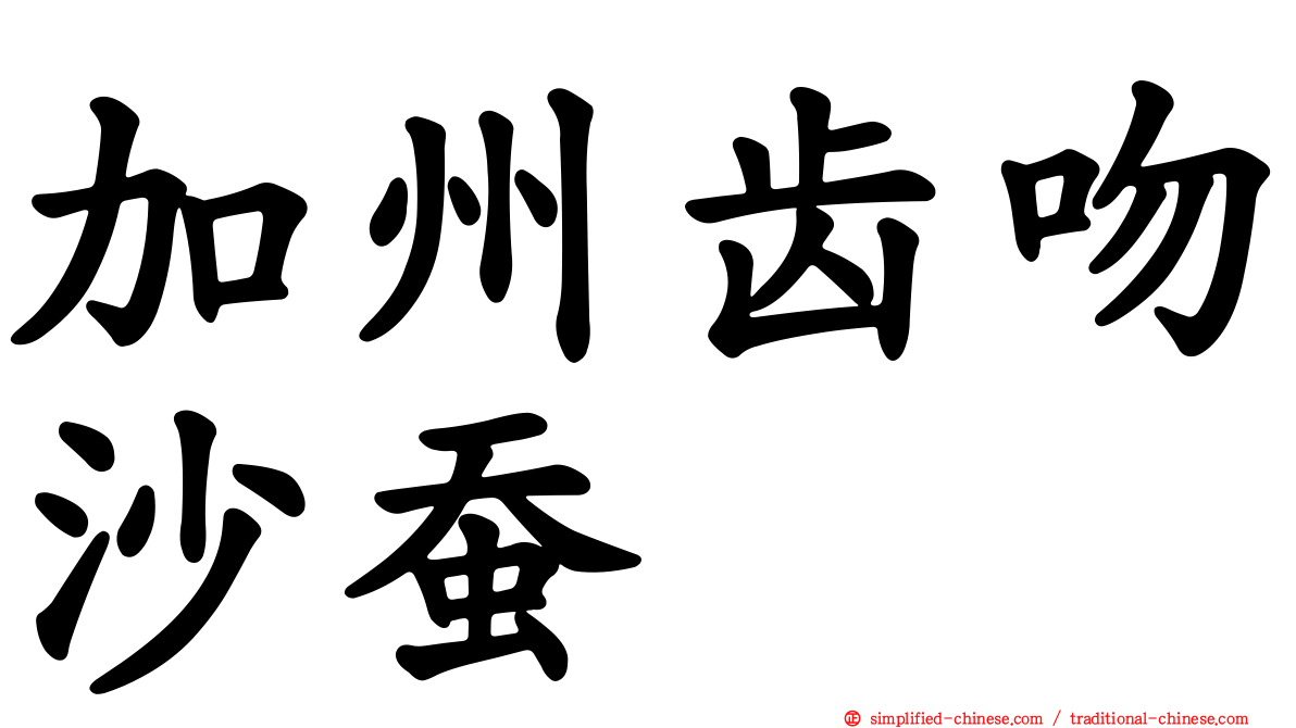加州齿吻沙蚕
