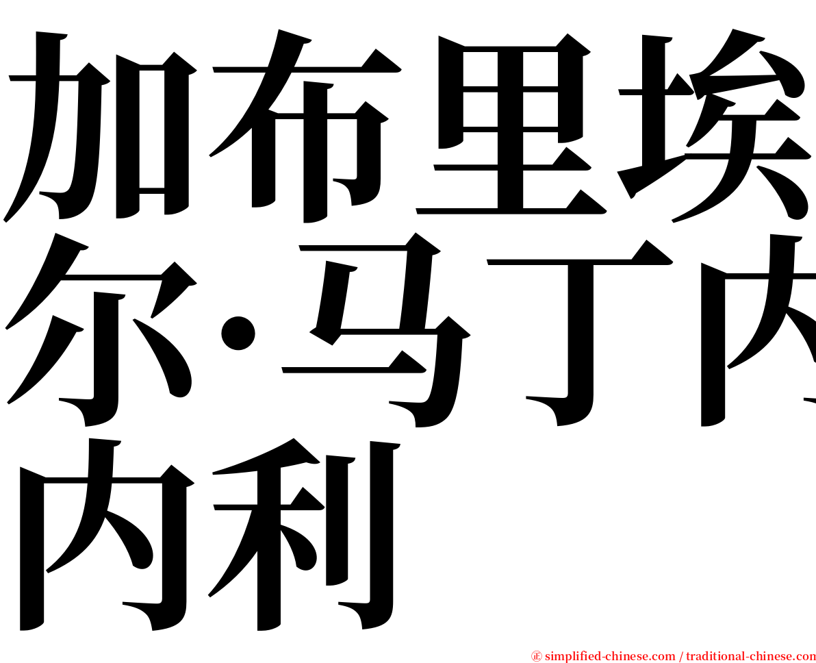 加布里埃尔·马丁内利 serif font