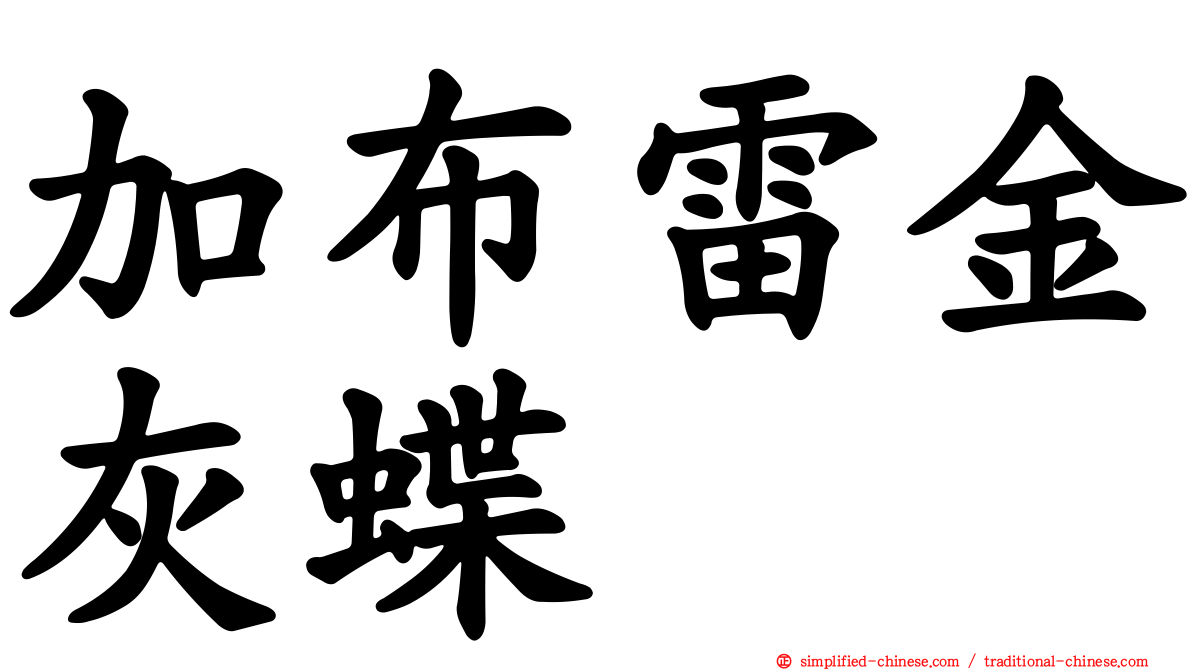 加布雷金灰蝶