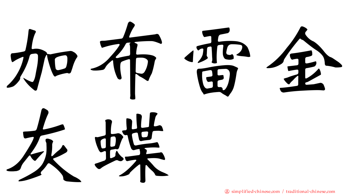 加布雷金灰蝶