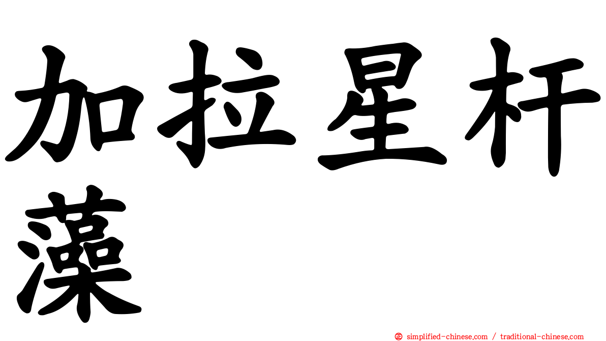 加拉星杆藻