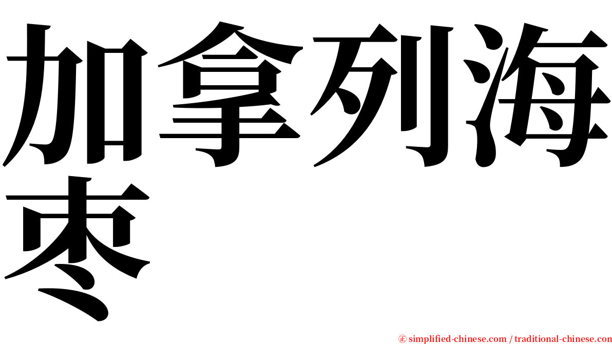 加拿列海枣 serif font