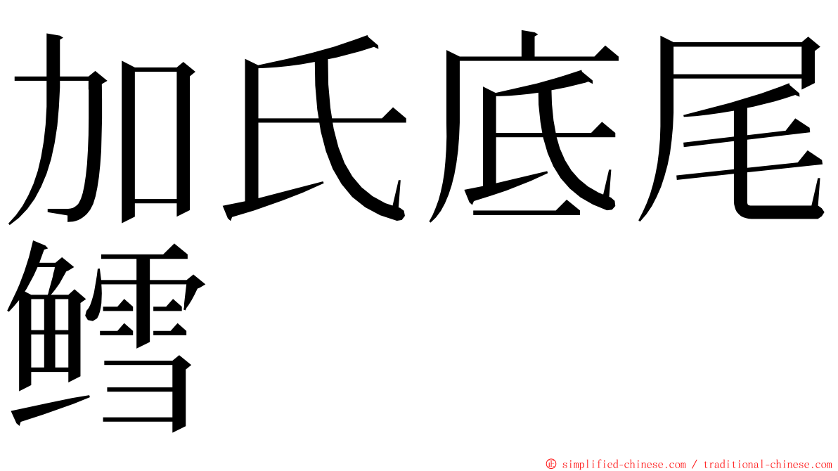 加氏底尾鳕 ming font
