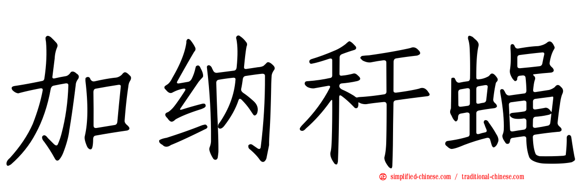 加纳秆蝇