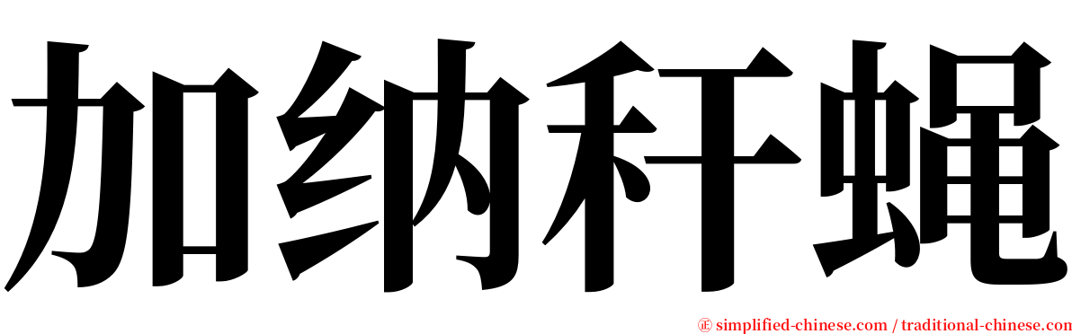 加纳秆蝇 serif font