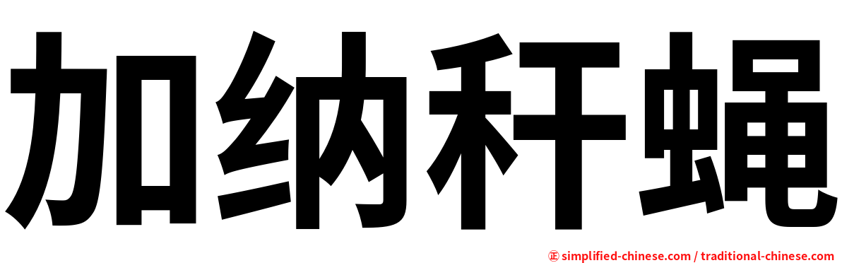 加纳秆蝇