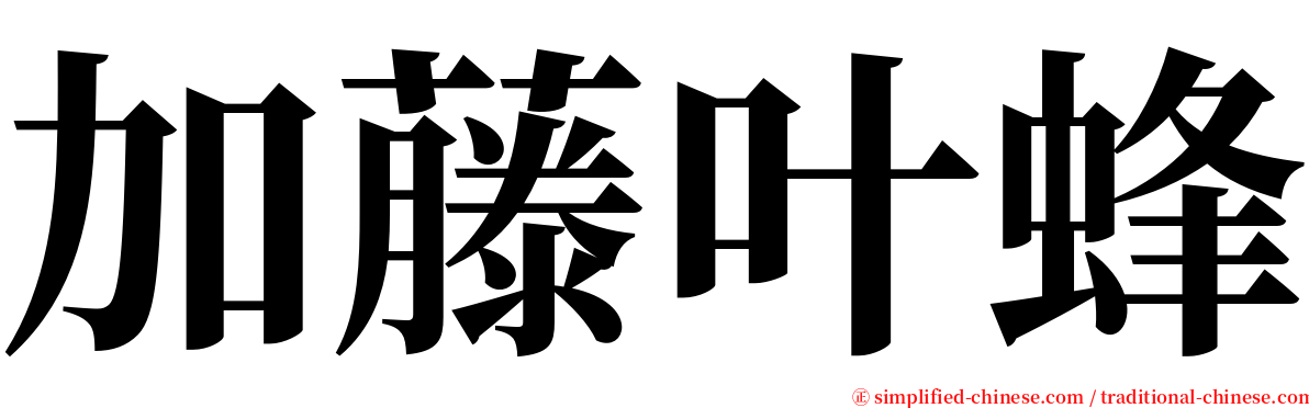 加藤叶蜂 serif font