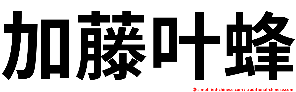 加藤叶蜂