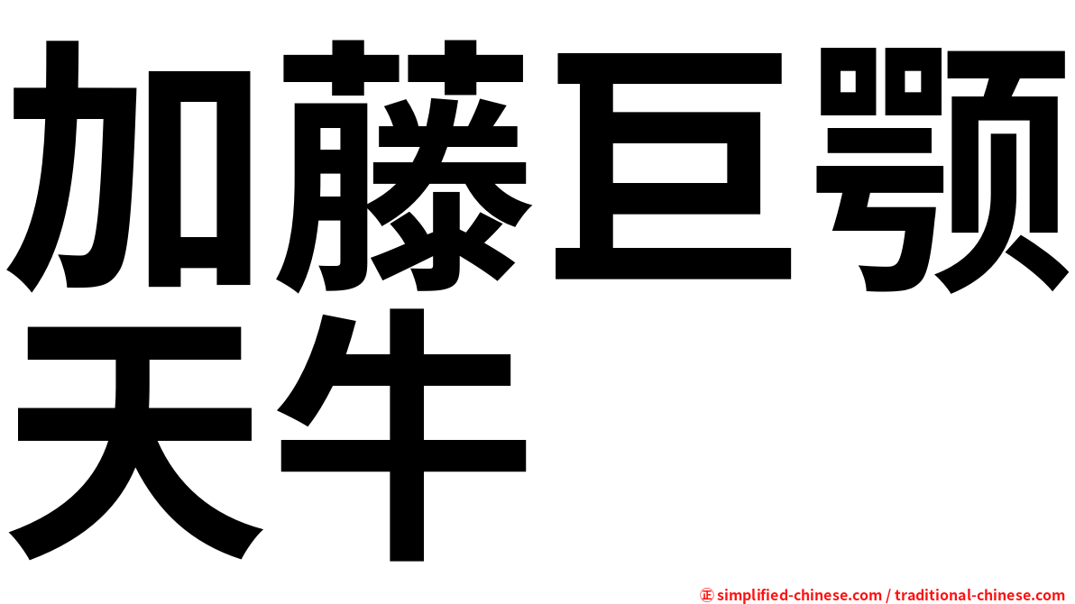 加藤巨颚天牛