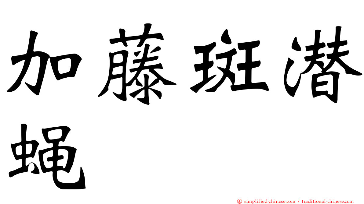 加藤斑潜蝇