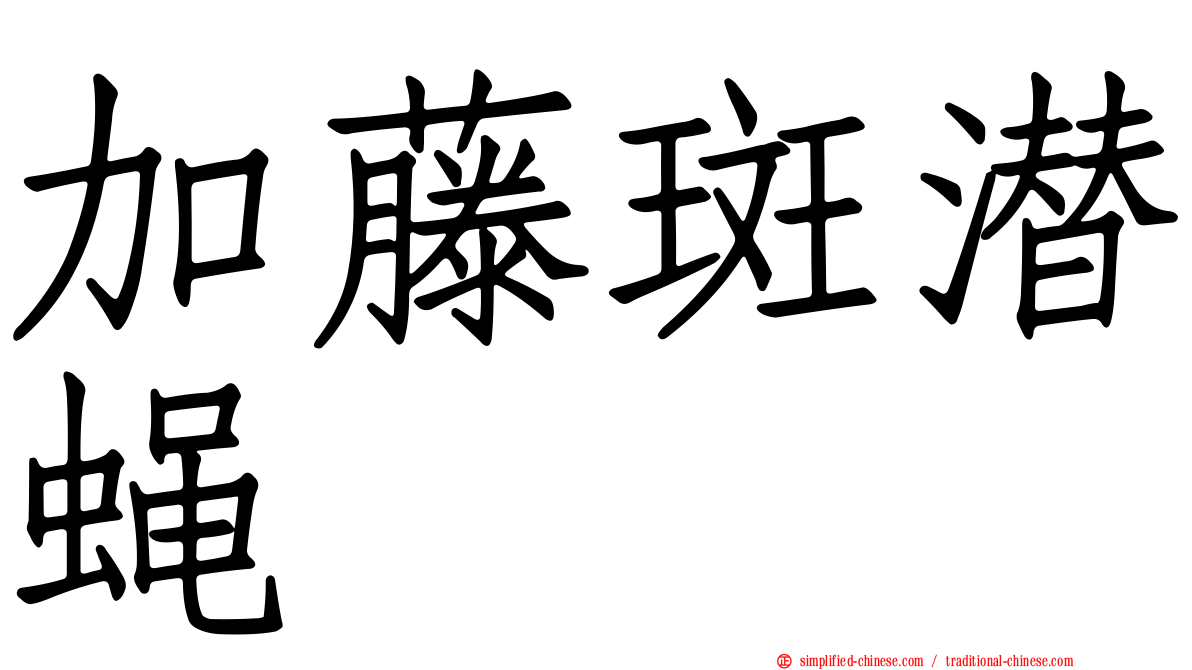 加藤斑潜蝇