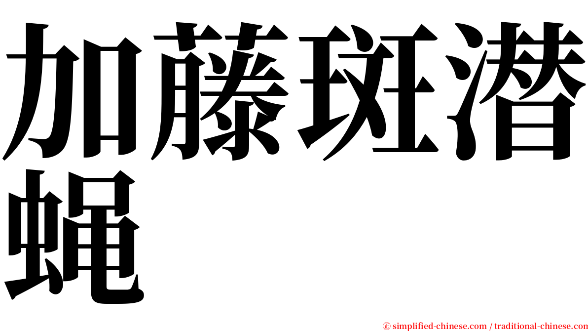 加藤斑潜蝇 serif font