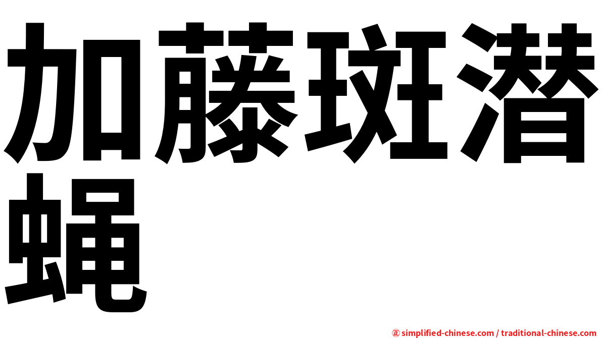 加藤斑潜蝇