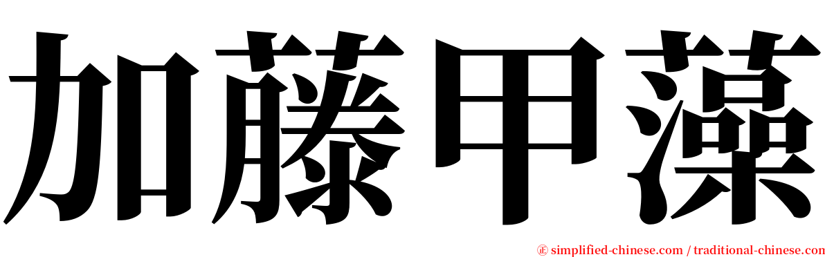 加藤甲藻 serif font