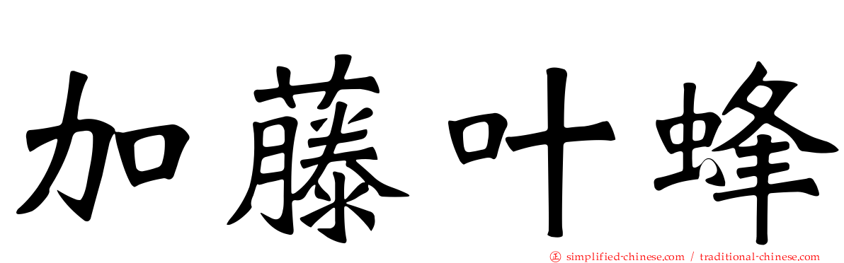 加藤叶蜂
