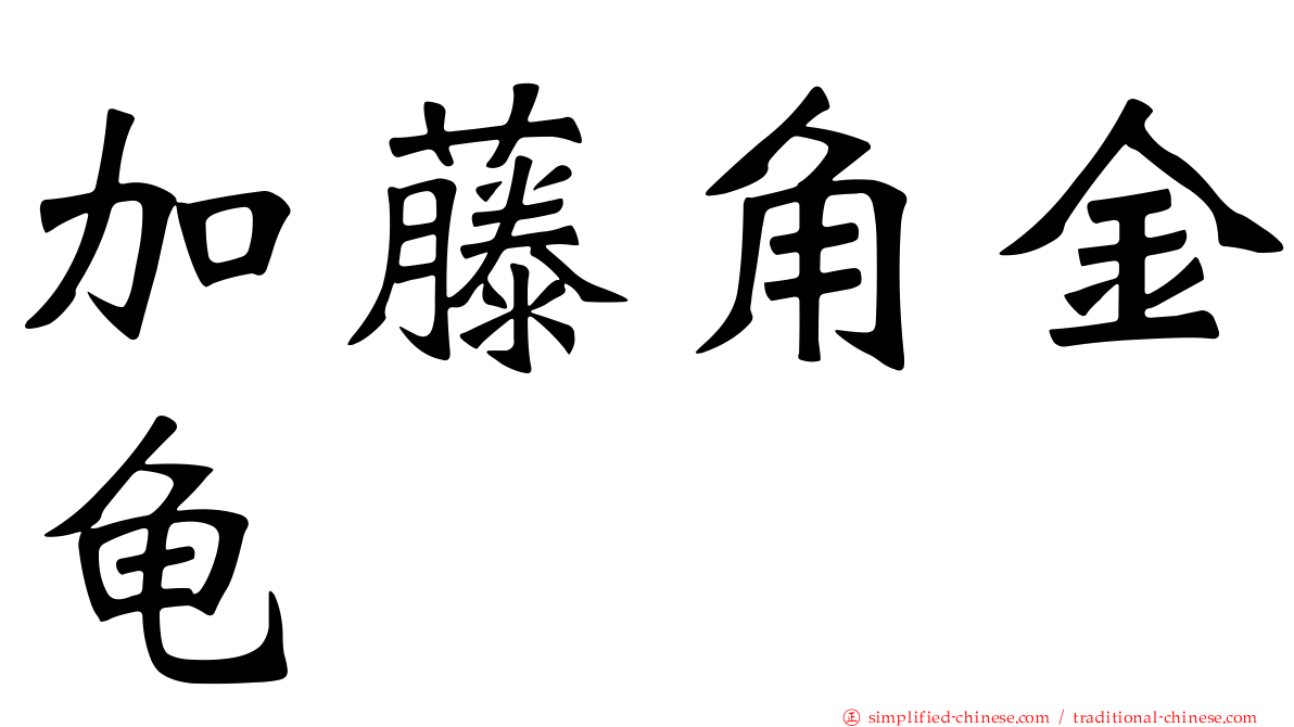 加藤角金龟