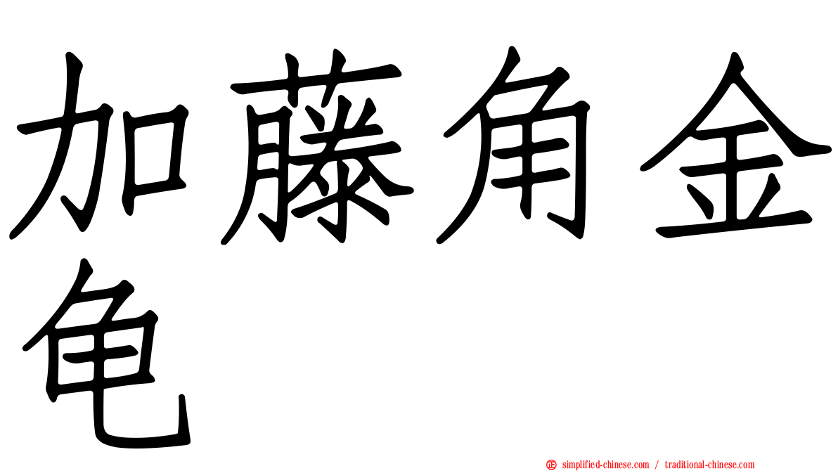 加藤角金龟