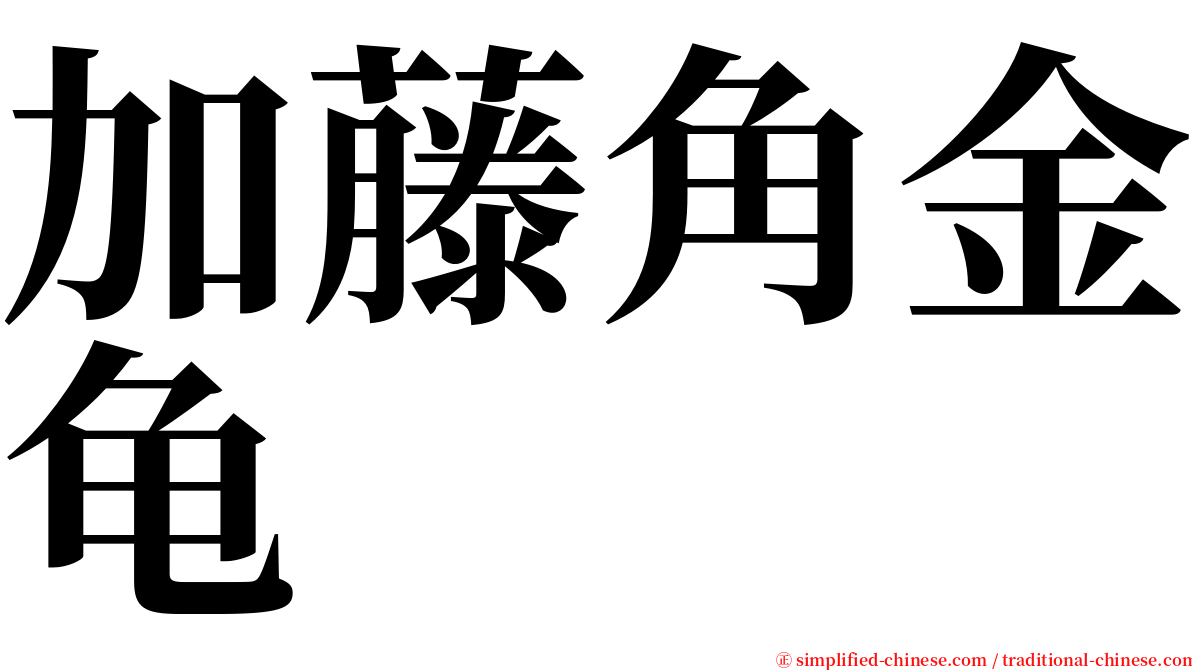 加藤角金龟 serif font