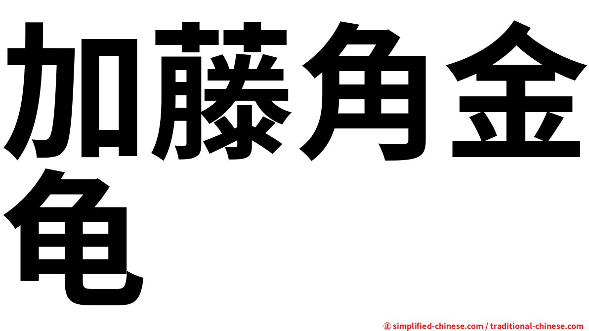 加藤角金龟